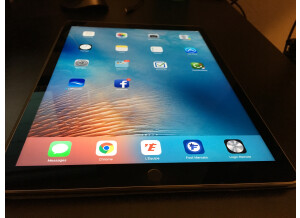 Apple iPad Pro (74933)