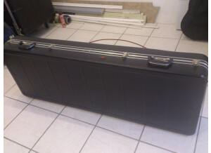 Bach Vincent Flight Case (11047)