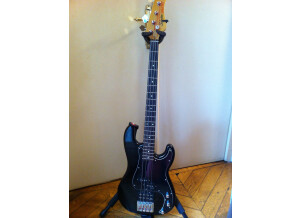 Bass schecter