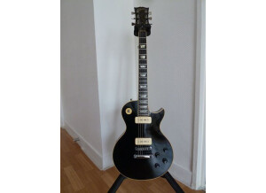Gibson Les Paul Pro (1979)