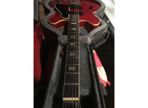 Gibson ES-330TD (9925)