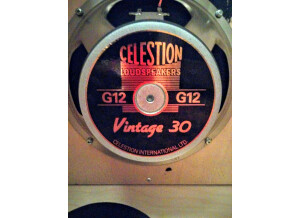 Celestion Vintage 30 (8 Ohms) (53514)