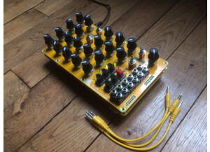 Mutable Instruments Anushri (48684)