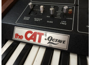 Octave The Cat (64768)