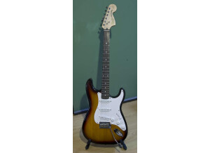 Squier Stratocaster Standard Rosewood