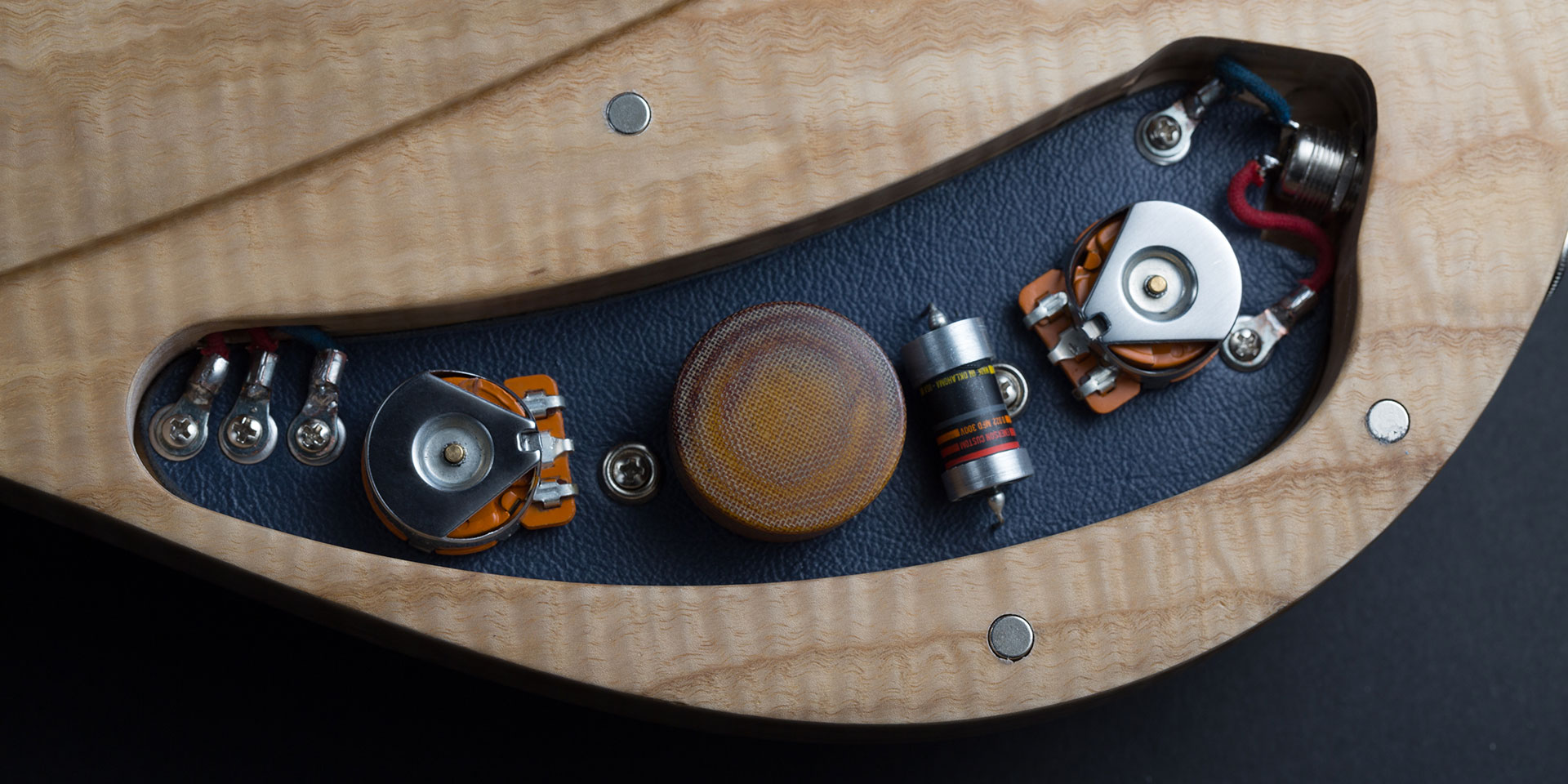 Sauvage Guitars One-Piece Master III : visuel208