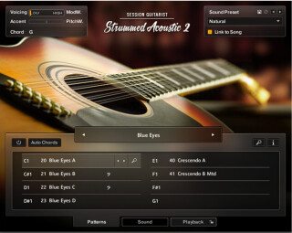 12 string nki 12 string nki