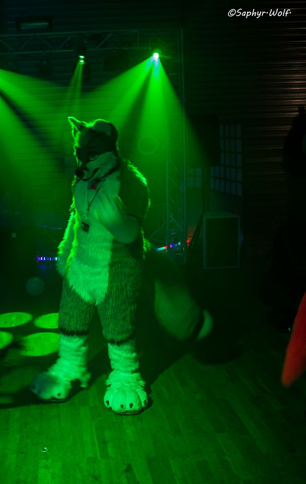 Stairville Junoscan MKII