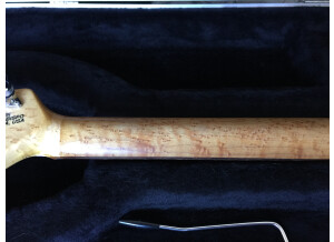 Music Man Luke (Vintage Tremolo) (72314)