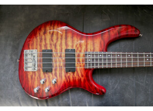 Cort Action DLX (27046)