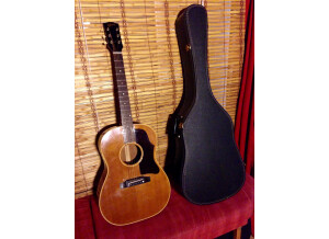 Gibson B25-N (40379)