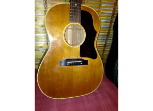 Gibson B25-N (6846)