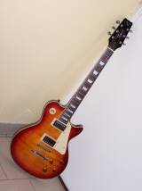 Vantage DL-305