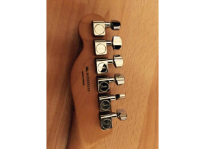 Fender Deluxe Blackout Tele (26691)