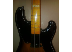 Fender Sting Precision Bass (38723)