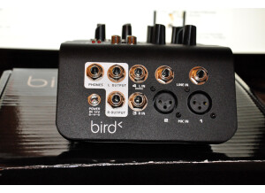 Bird Electron Basis BM402 (10385)