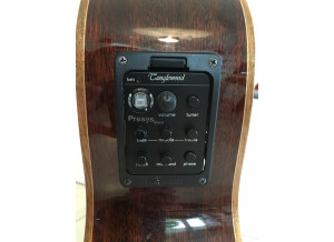 Tanglewood TW45 H E (14100)