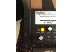 Moog Music SlimPhatty (36042)