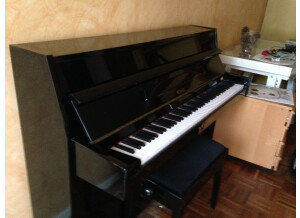 Gaveau Piano Droit (67636)