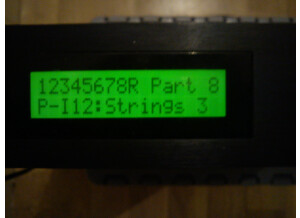 Roland D-110 (27660)