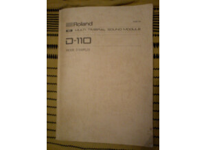 Roland D-110 (24777)