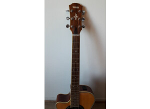 Yamaha APX700 (49353)