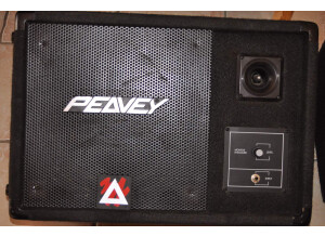 Peavey Pro 12M Passive