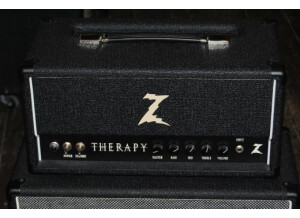 Dr. Z Amplification Therapy (52750)