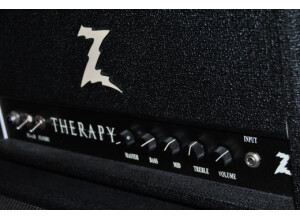 Dr. Z Amplification Therapy (48690)