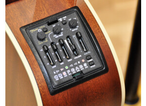 Takamine TAN10C 08