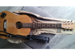 Tanglewood TWR T (65257)