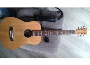 Tanglewood TWR T (25744)