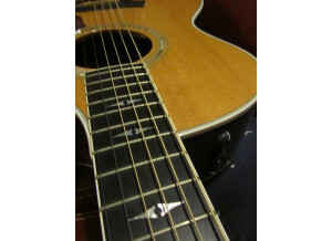 Taylor 814ce (91141)