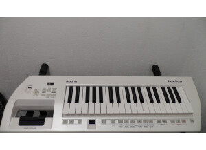 Roland Lucina AX-09 (93010)