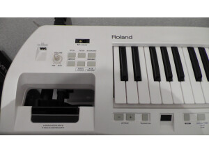 Roland Lucina AX-09 (45353)