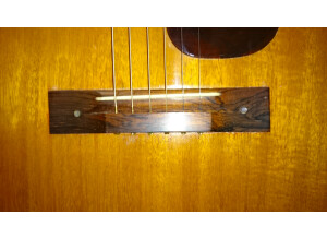 Harmony (String Instruments) H165 (64110)