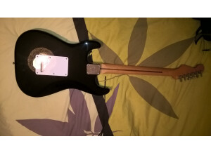 Fender Standard Stratocaster [2006-2008] (75634)