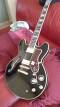 Epiphone Sheraton II Pro