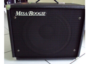 Mesa Boogie EV 200W (73738)