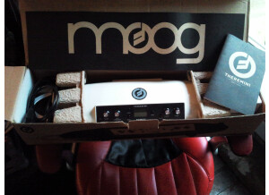 Moog Music Theremini (47526)