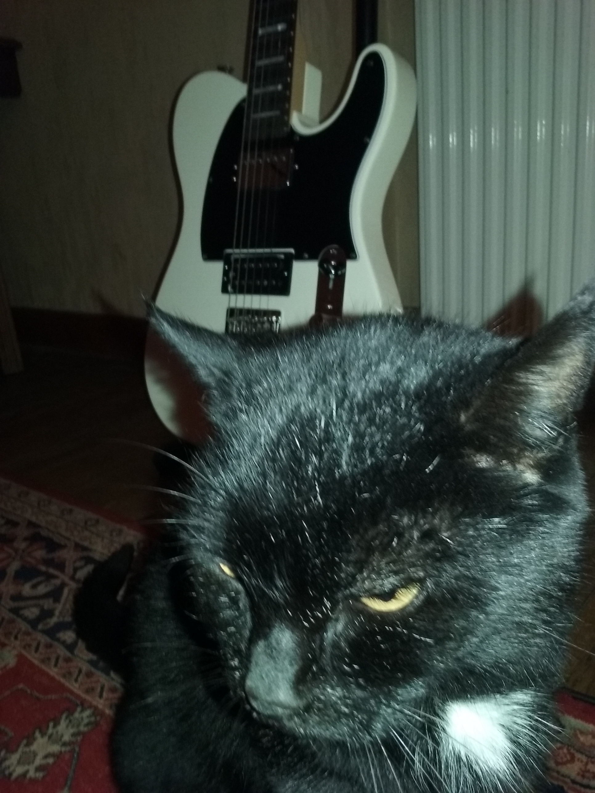 Fender Limited Edition 2015 American Standard Telecaster HH