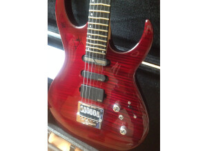 VGS Radioactive TD-Special Pro - Black Cherry Burst (11778)