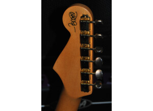 Fender John Mayer Stratocaster (25915)