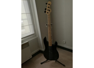 Fender Roger Waters Precision Bass (40336)
