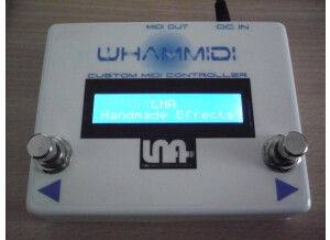 Lna Whammidi (8861)