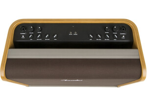 Fender Acoustic SFX (46370)