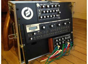 Moog Music SlimPhatty (41558)