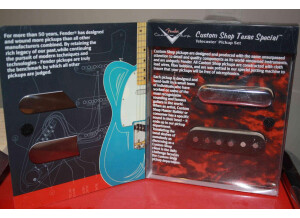 Fender custom shop texas special kit telecaster
