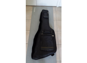 Epiphone Thunderbird Pro-IV (38444)