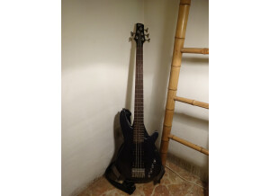 Ibanez SRX305